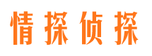 安远市婚外情调查